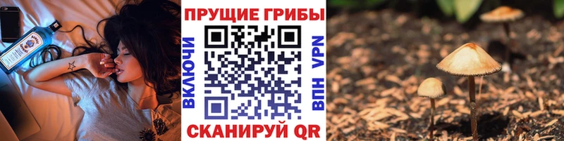 купить закладку  Верещагино  Галлюциногенные грибы мицелий 